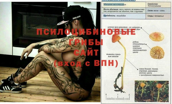 альфа пвп VHQ Сатка